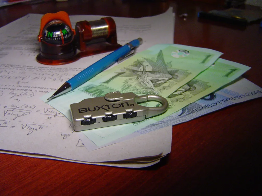 How does a tsp loan work
